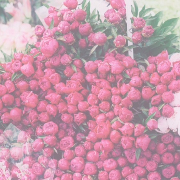 Classy Is The Best Sassy! - Picture 2 of 3